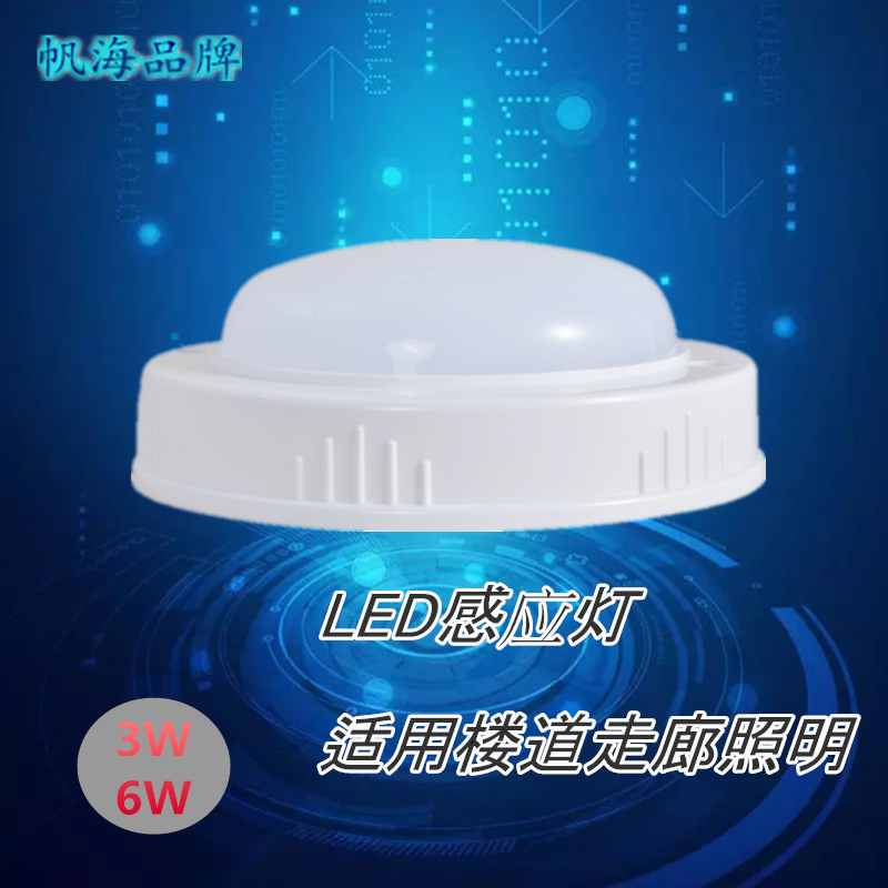 帆海品牌led貼片3w6W2.5寸吸頂*時(shí)尚 聲控?zé)?  title=