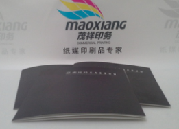 公司企業(yè)*精美畫冊宣傳冊印刷定制