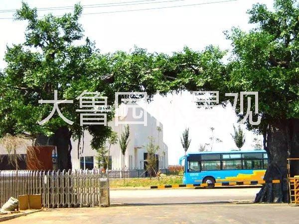 洛陽(yáng)仿真樹(shù)大門(mén)供應(yīng)洛陽(yáng)仿真樹(shù)大門(mén)仿真樹(shù)大門(mén)*惠仿真樹(shù)大門(mén)怎