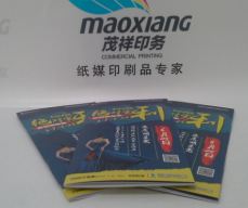 公司企業(yè)*精美畫冊宣傳冊印刷定制