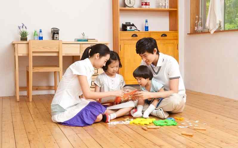 供應(yīng) 圣春碳纖維電地暖 電散熱器