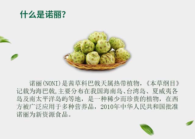 Beeston/百舒堂諾麗酵素