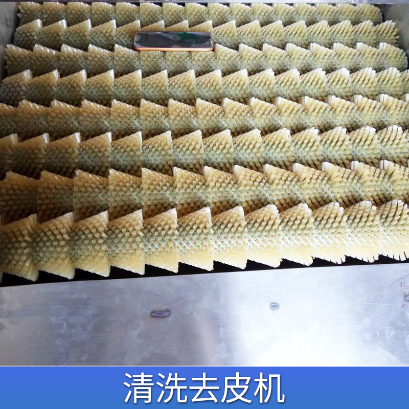 山藥清洗去皮機報價，廣東山藥清洗去皮機廠家供應(yīng) 山藥清洗去皮機