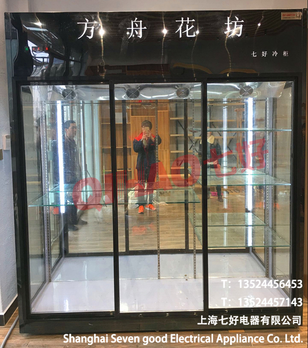 花店冷柜鮮花展示柜支持LOGO定做