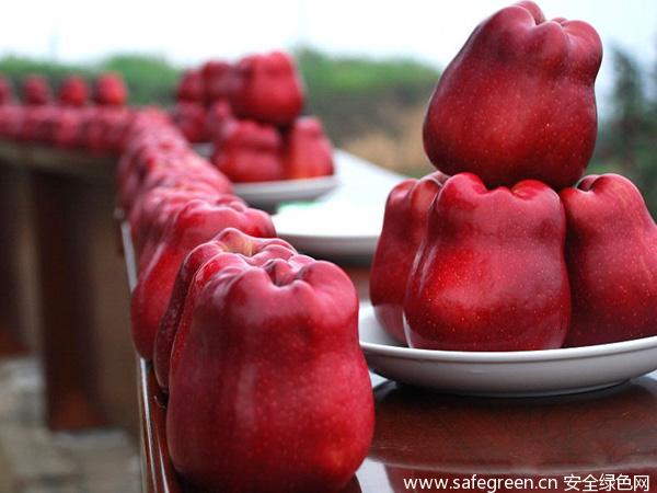 甘肅特產(chǎn)水果*天水小花牛蘋果現(xiàn)