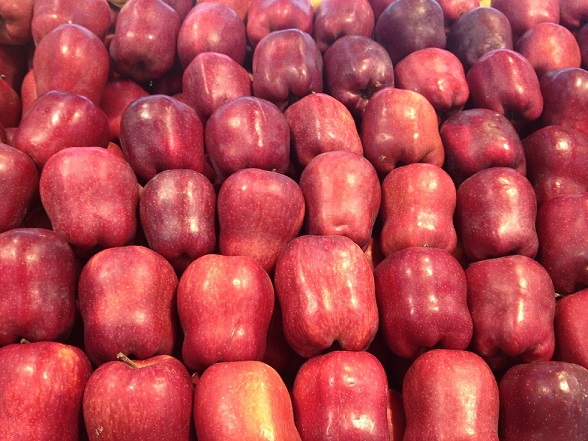 甘肅特產(chǎn)水果*天水小花牛蘋果現(xiàn)