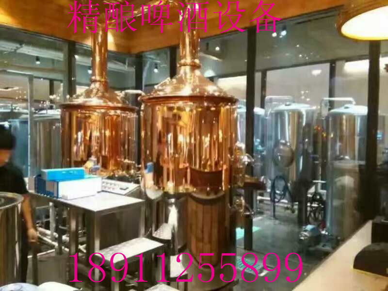 供應(yīng)山東哪賣(mài)自釀啤酒設(shè)備？多少錢(qián)一套