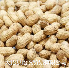 紅皮花生紅皮花生價(jià)格紅皮花生產(chǎn)地紅皮花生的營養(yǎng)價(jià)值紅皮花生的功效