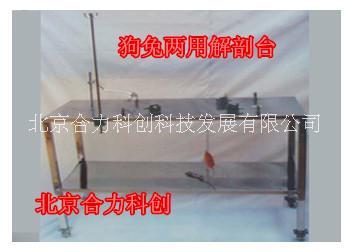 電熱兔狗兩用解剖臺(tái)