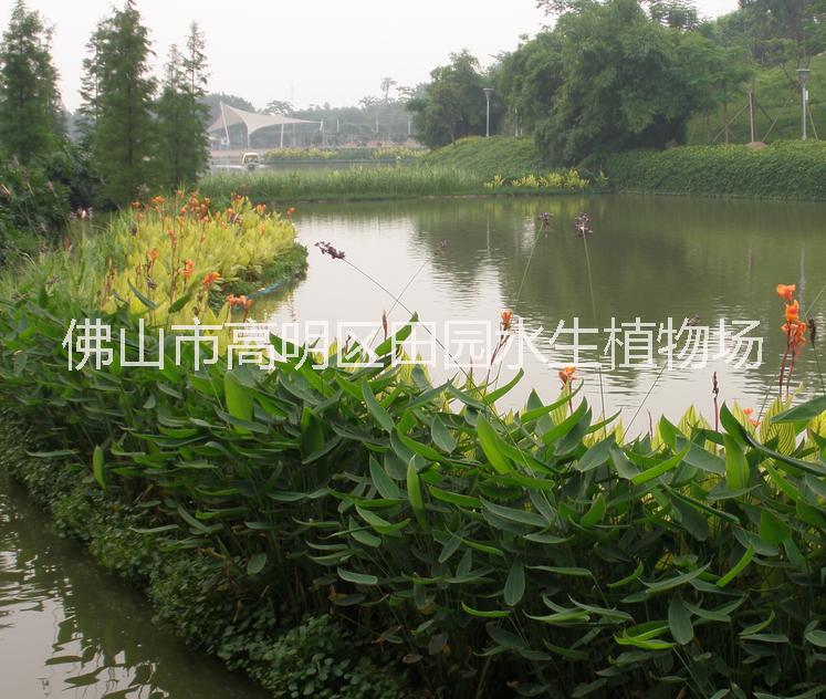 生態(tài)浮島
