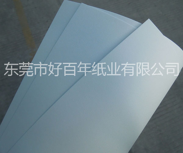 白牛皮