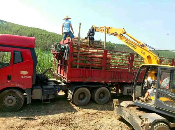 抓木挖掘機,抓木挖掘機多少錢 抓木挖掘機多少錢？