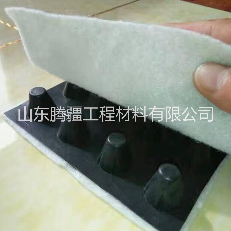 隧道公路排水板 屋頂綠化排水 塑料排水板 園林綠化疏水板土工布