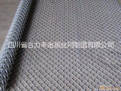 廠家促銷優(yōu)質(zhì)綠化噴播植草網(wǎng) 鐵絲固土活絡(luò)網(wǎng) 鍍鋅勾花網(wǎng) 鐵絲網(wǎng)