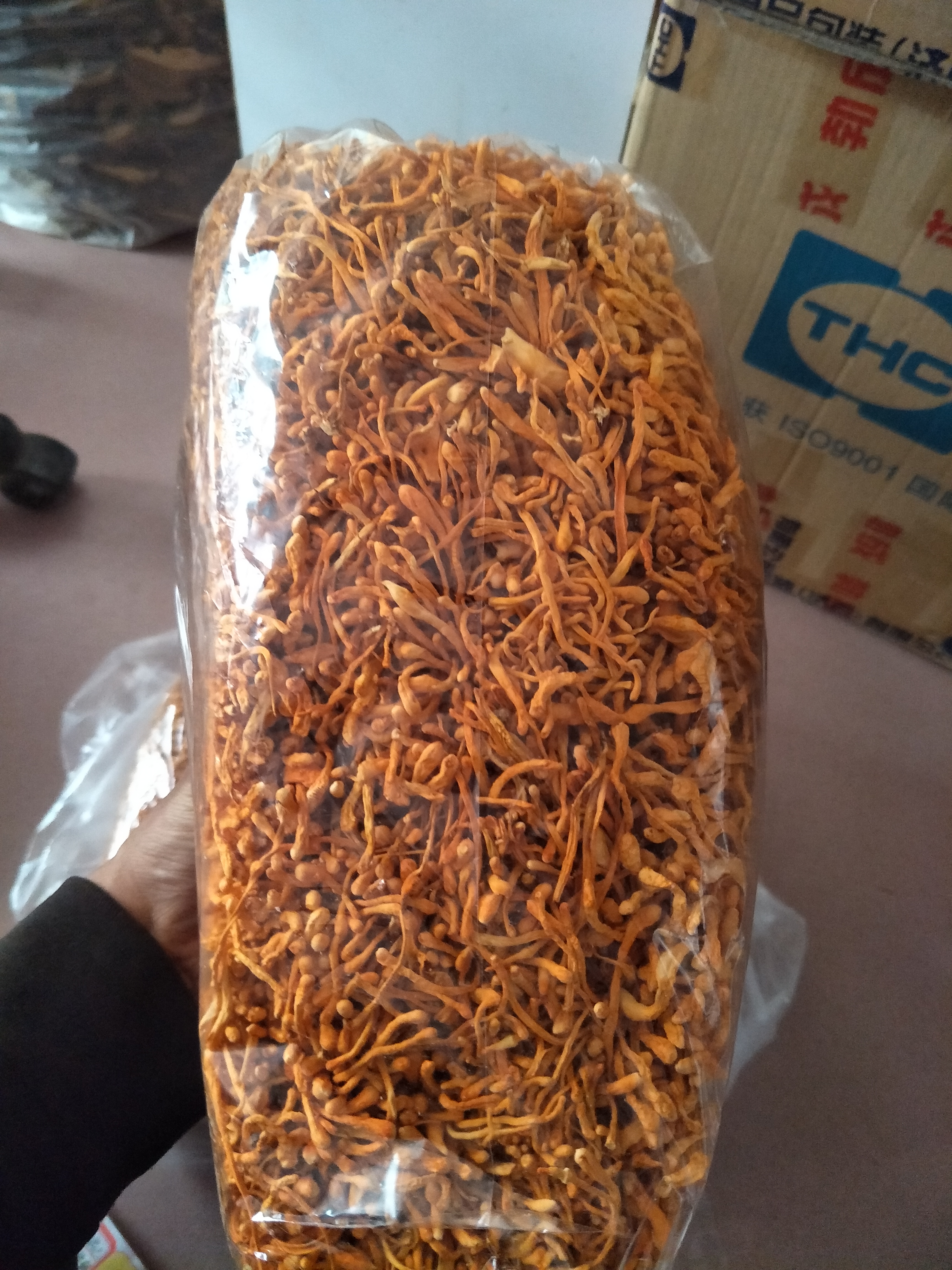 蟲草花 排草 蟲草花排草批發(fā) 蟲草花排草報價 蟲草花排草哪里好