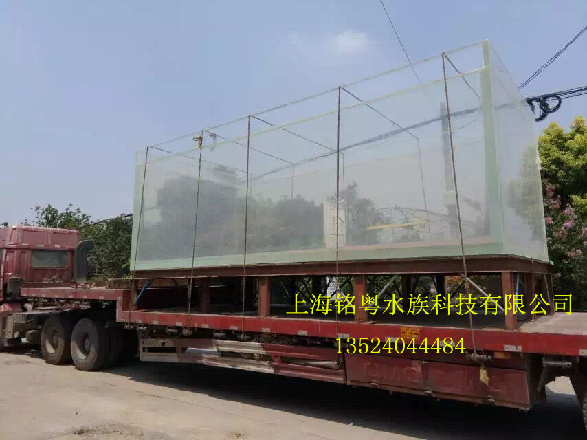 上海銘粵水族工廠生產(chǎn)有機(jī)玻璃板材 定制大型亞克力觀賞魚缸