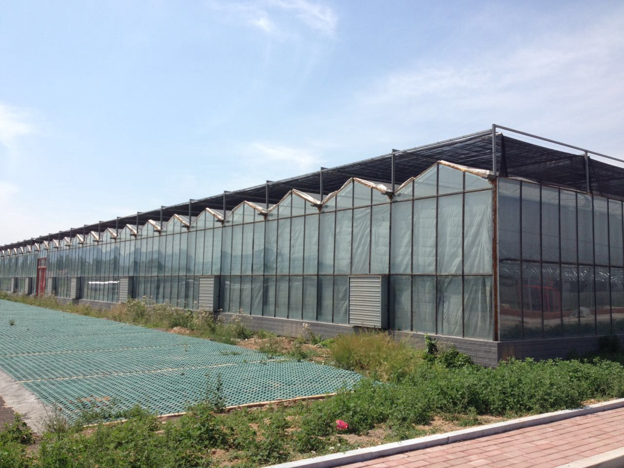 智能溫室大棚設(shè)計施工