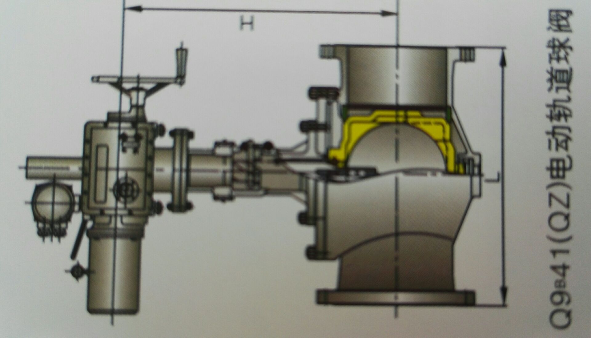 上裝式軌道球閥