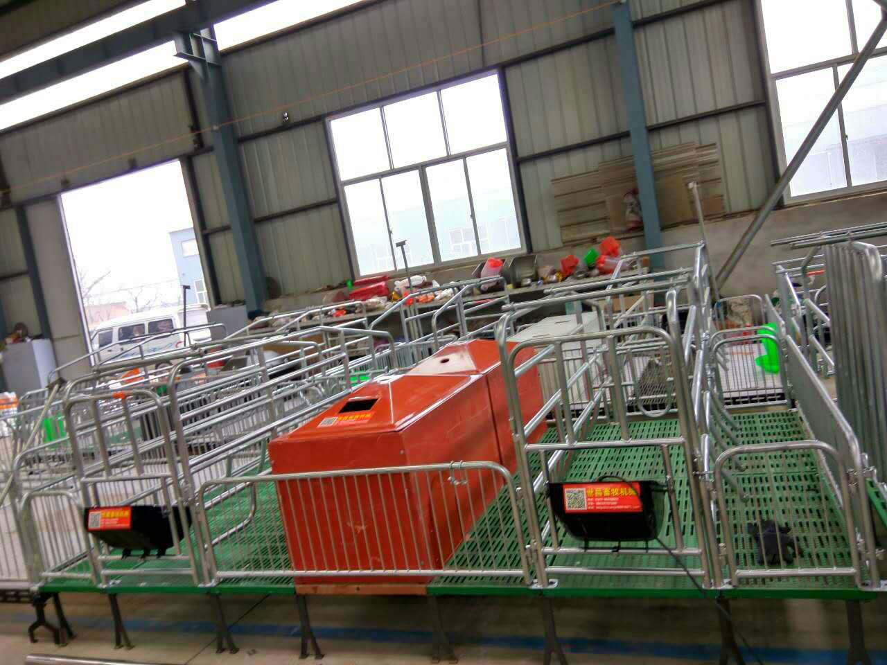 母豬產(chǎn)床廠家 河北母豬產(chǎn)床廠家 河北母豬產(chǎn)床價(jià)格 河北母豬產(chǎn)床供應(yīng)