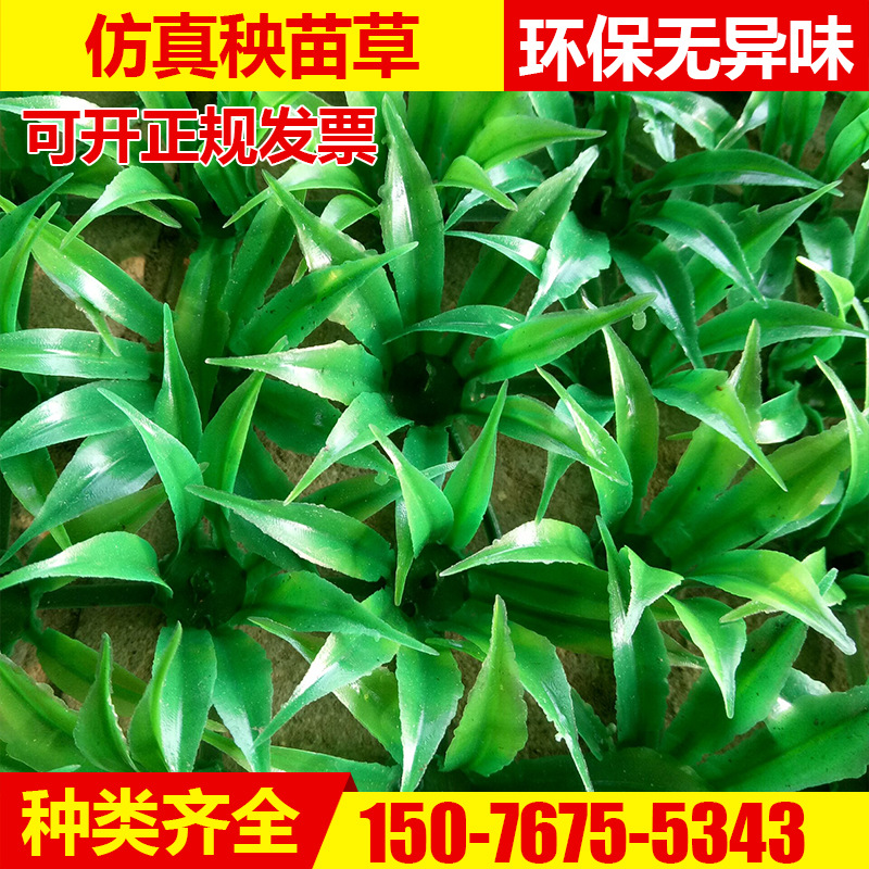 河北草坪地毯供應(yīng)商 草坪地毯批發(fā) 廠家批發(fā)裝飾秧苗草塑料草坪 加高景觀草坪地毯