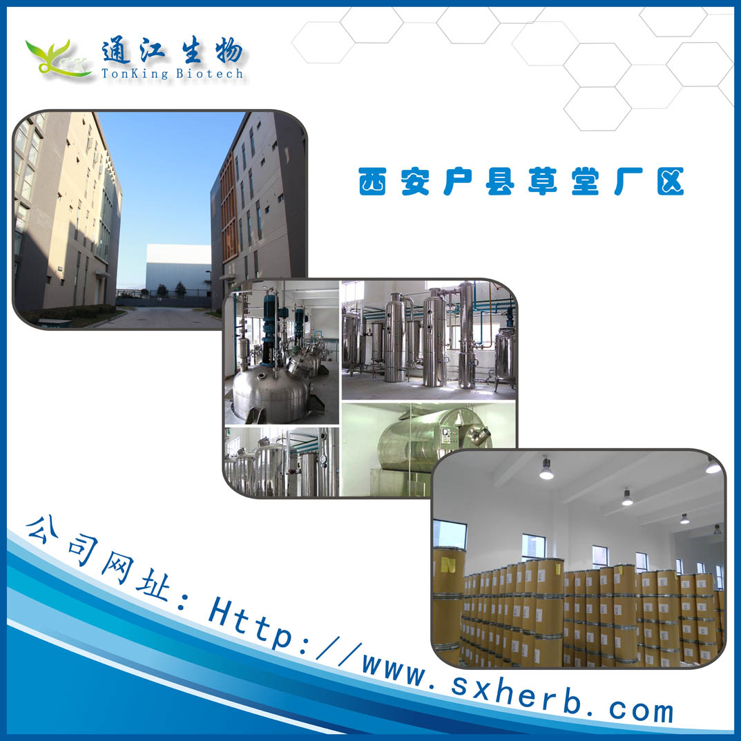 金銀花提取98（%） 天然金銀花