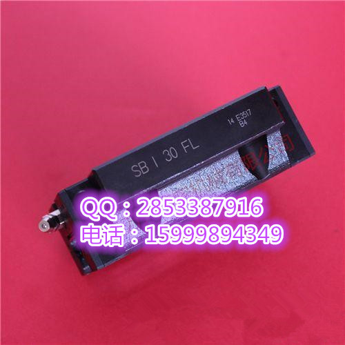 SBC導(dǎo)軌SBC滑塊 SBC導(dǎo)軌滑塊SBI30FL