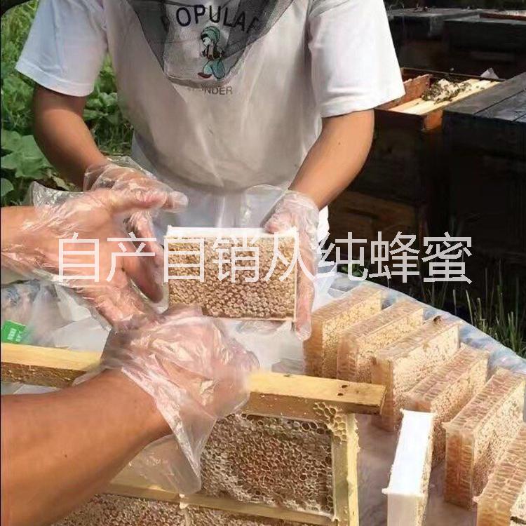蜂巢蜜 500g 格子蜜 農(nóng)家自產(chǎn)自銷純蜂蜜  巢蜜