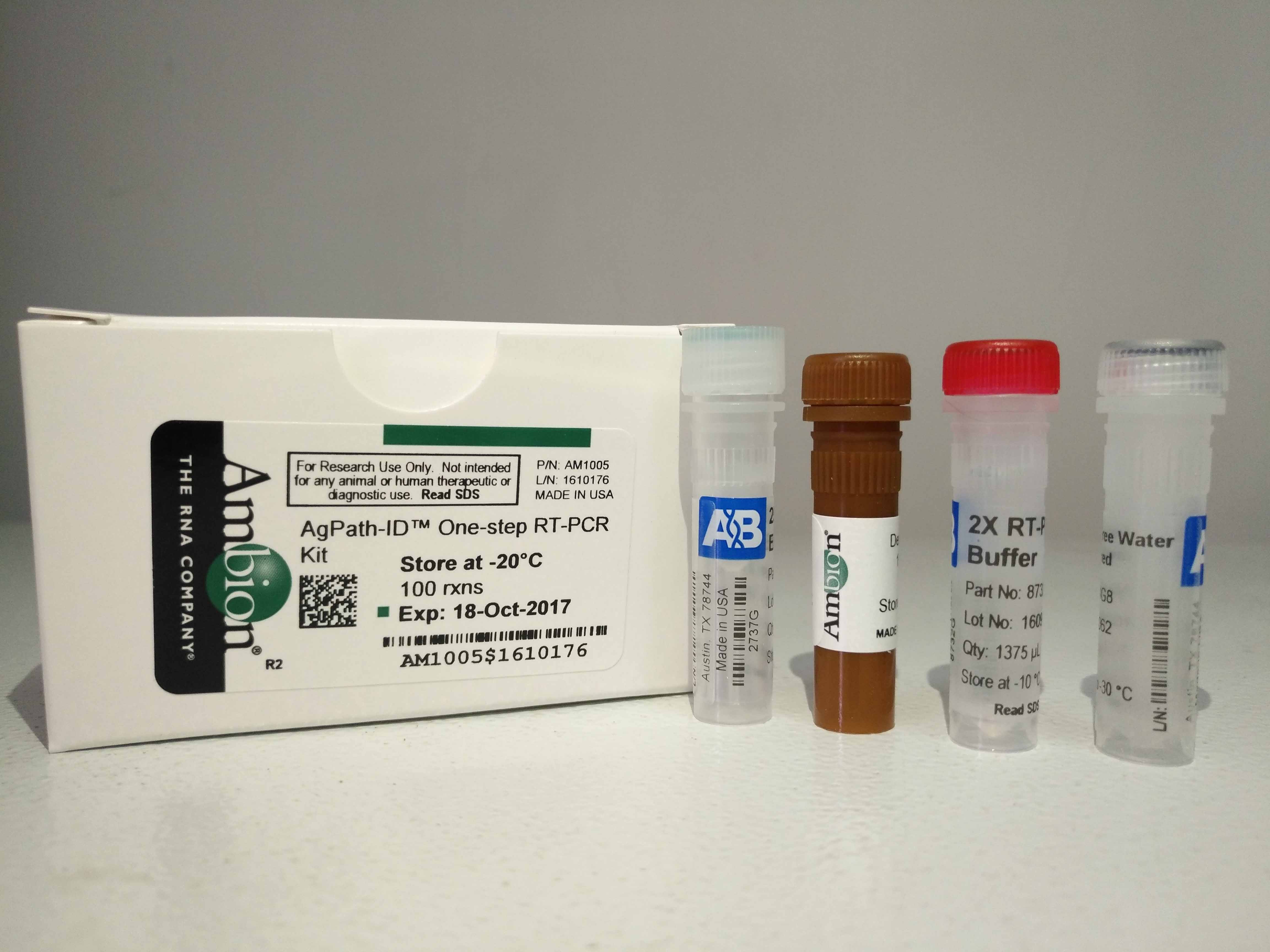 AM1005 ABI Ambion AgPath-ID一步法熒光定量RT-PCR試劑盒