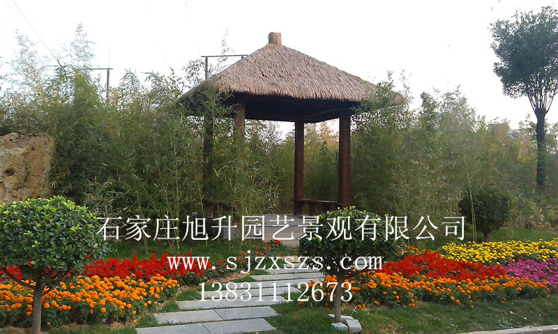 木制涼亭 木亭子 防腐木涼亭 木制涼亭亭子