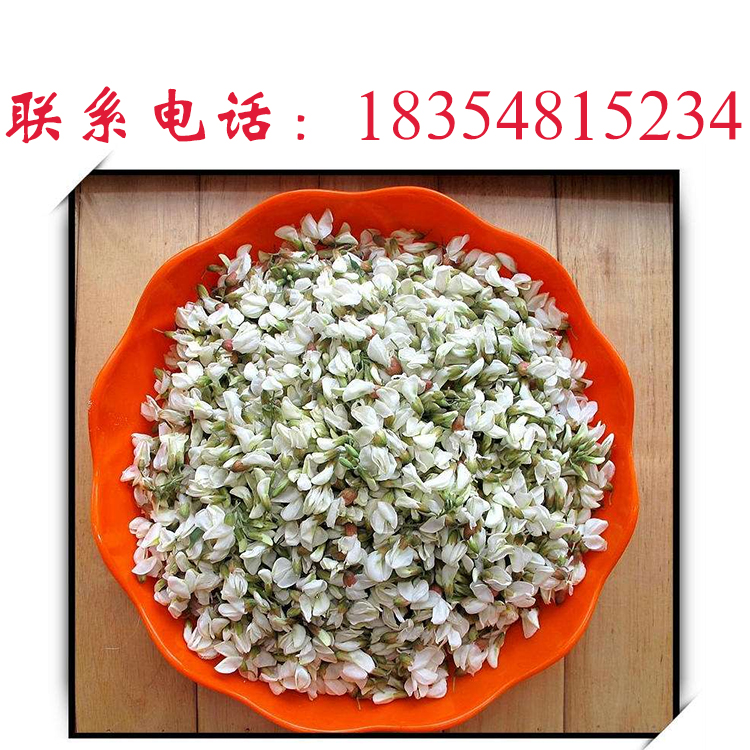 山東洋槐花直銷基地， 藥用型洋槐花批發(fā)價，洋槐花批發(fā)電話