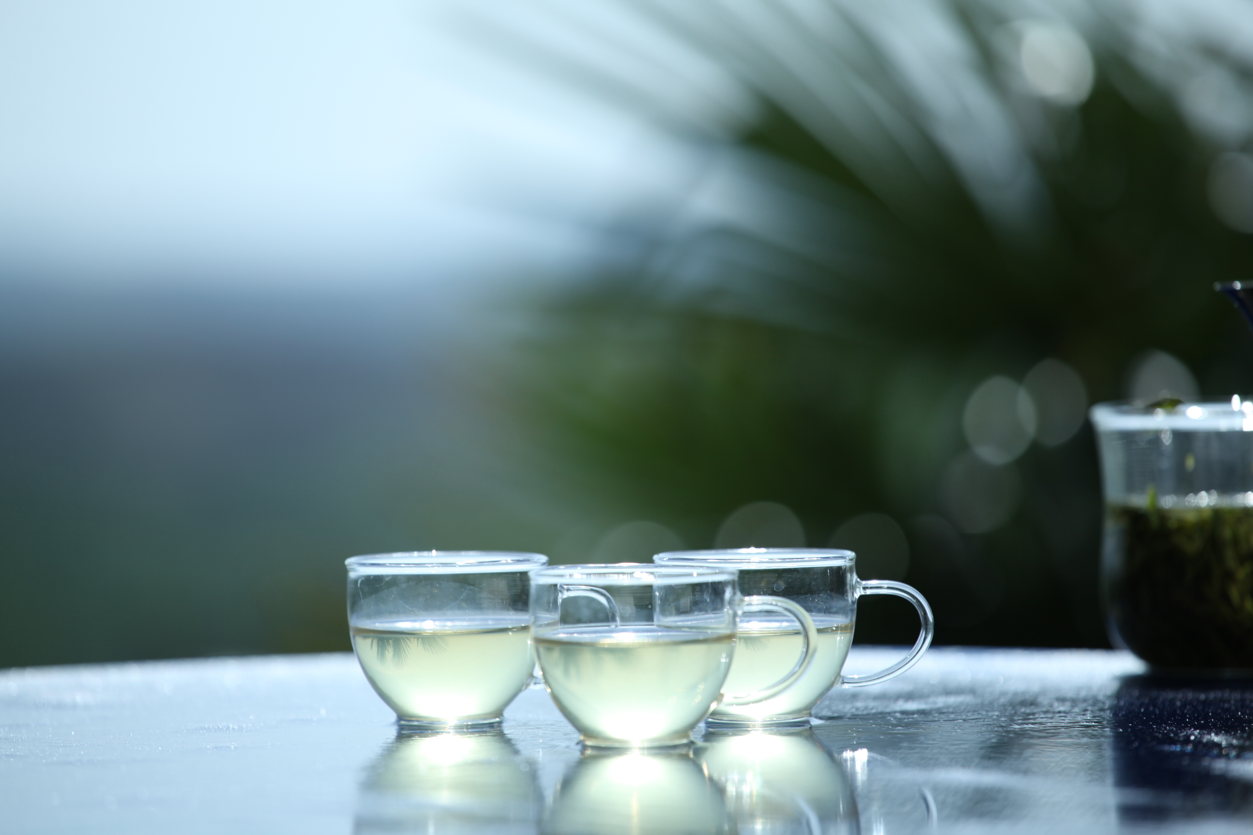 云峰山茶葉 有機綠茶 春茶 云霧毛尖王 新茶上市 云霧毛尖*  新茶上市