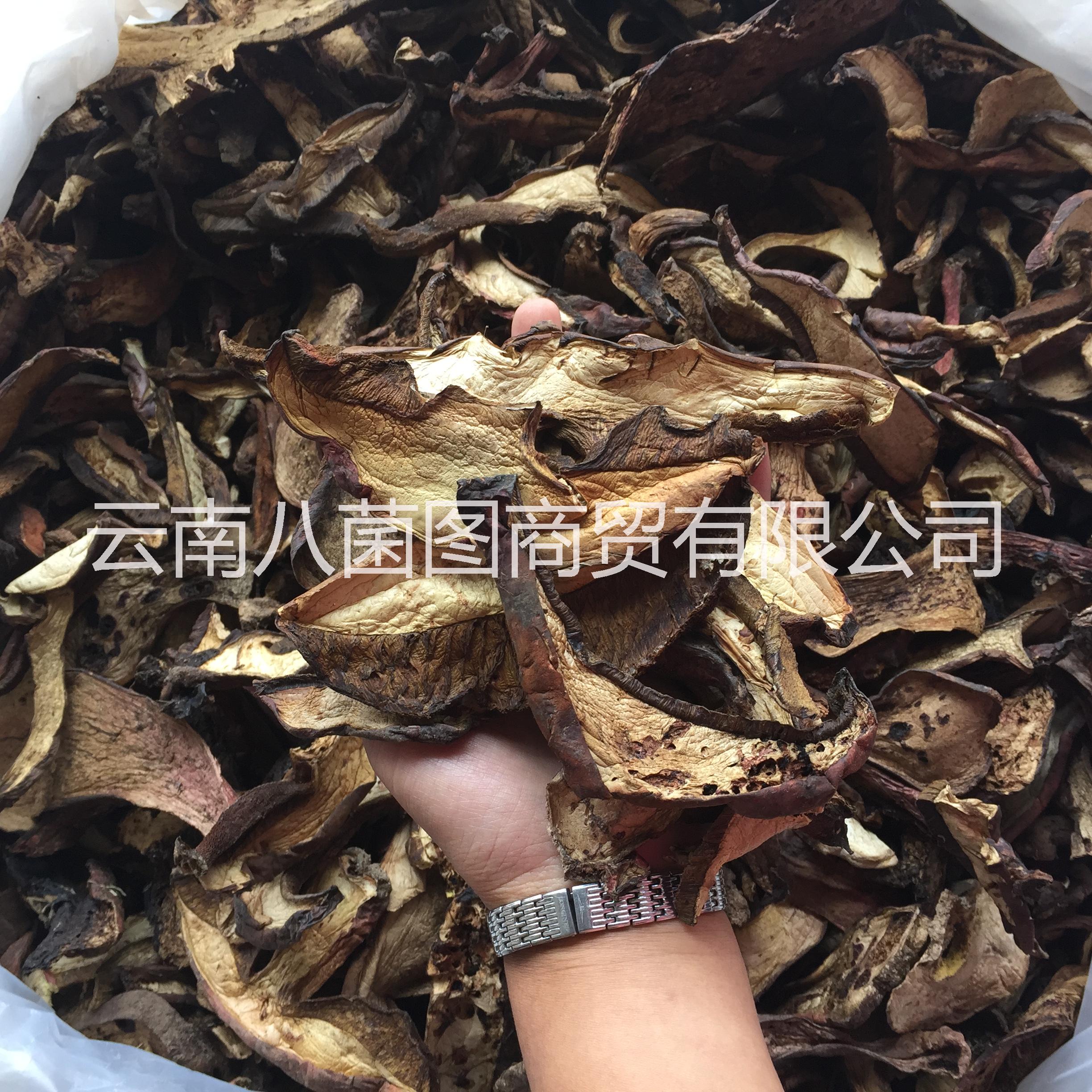 云南黑木王菌 黑木王菌批發(fā) 黑木王菌供應商 黑木王菌哪里好