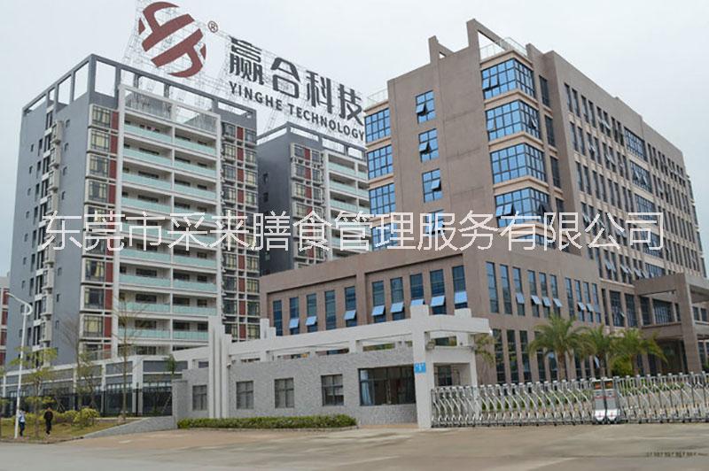 東莞食堂承包模式