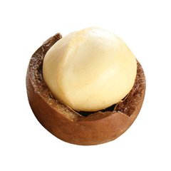 夏威夷果廠家直銷  500克/袋包裝  2公斤起包郵