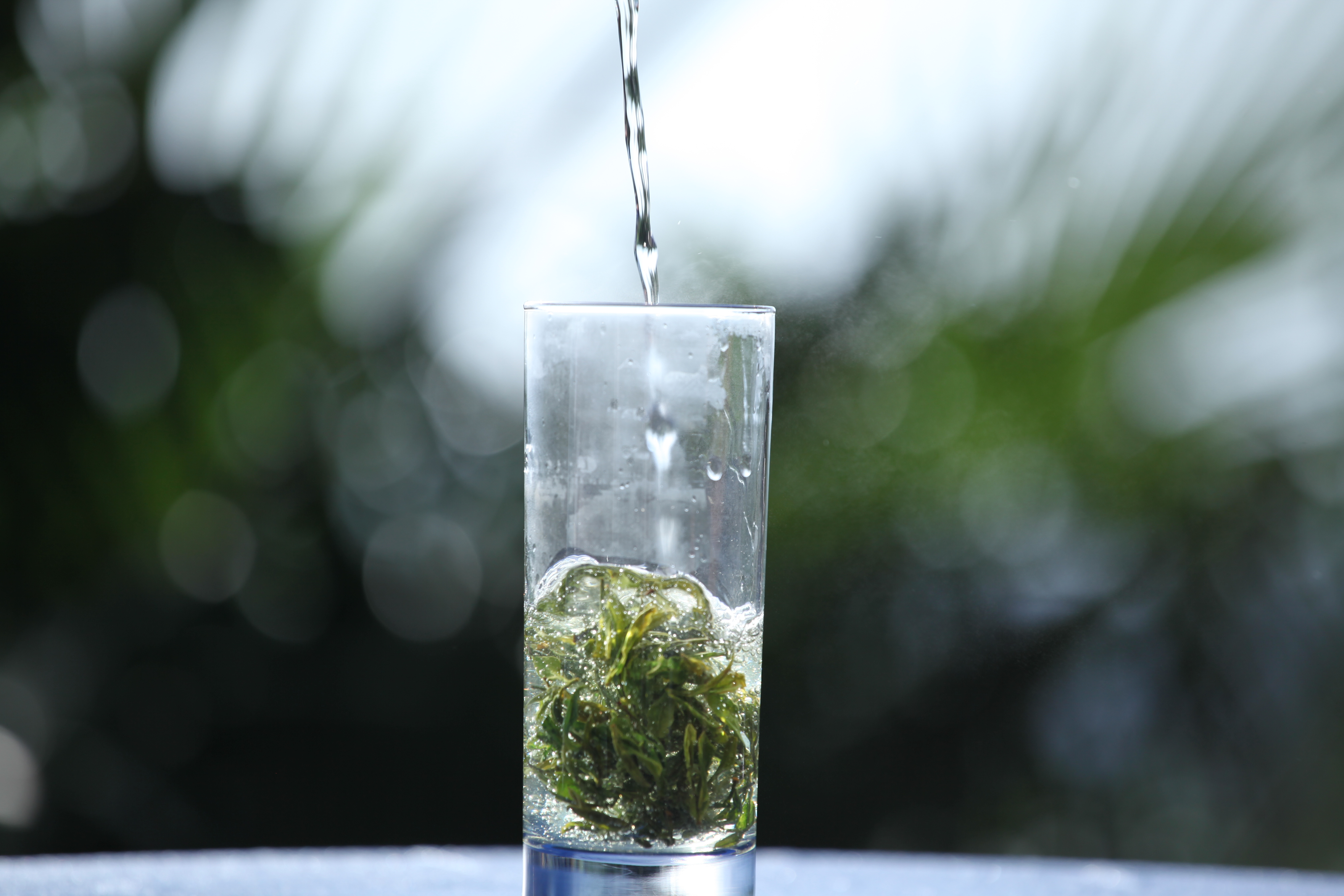 云峰山茶葉 有機綠茶 春茶 云霧毛尖王 新茶上市 云霧毛尖*  新茶上市