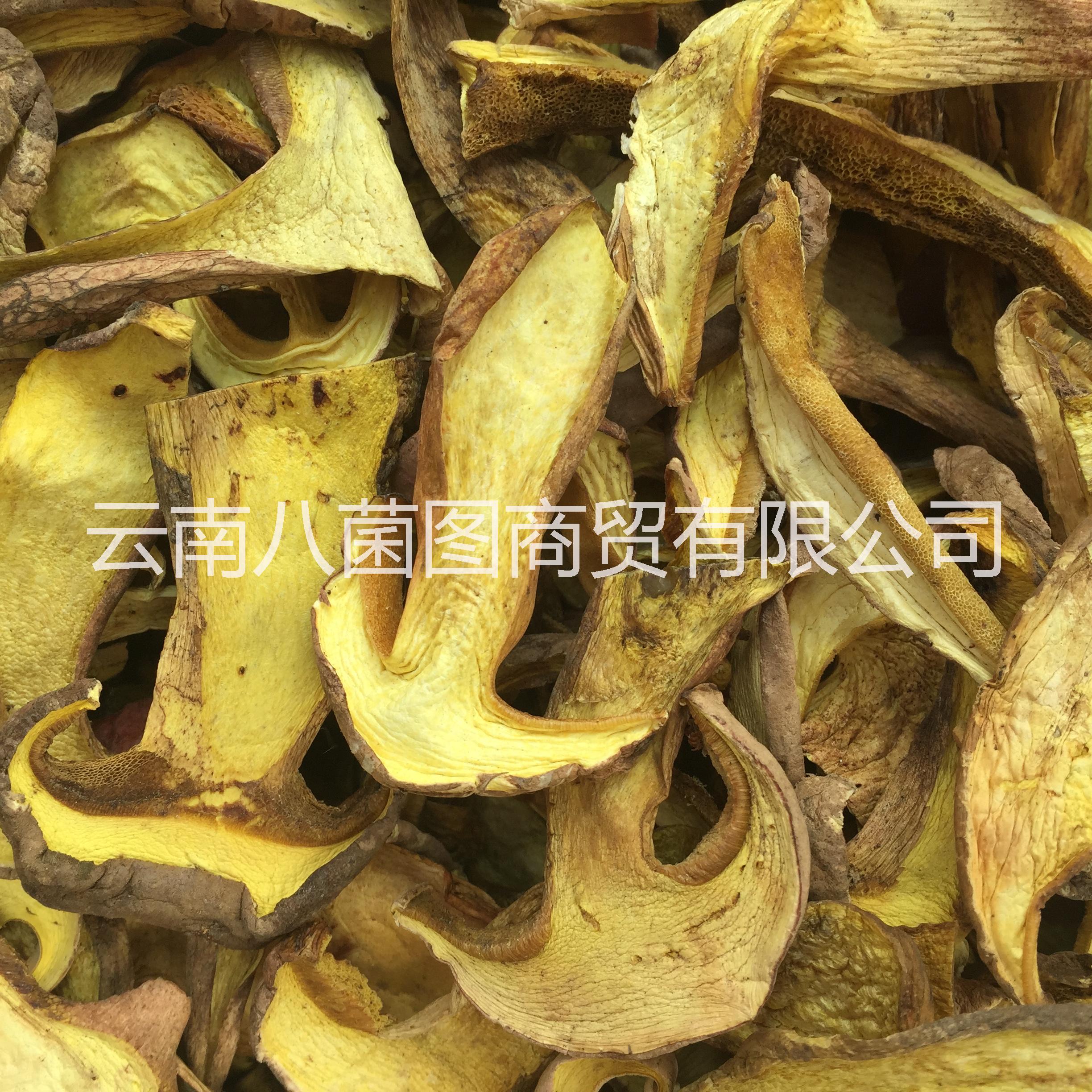 云南水白蔥菌 水白蔥菌批發(fā) 水白蔥菌供應(yīng)商 水白蔥菌哪里好