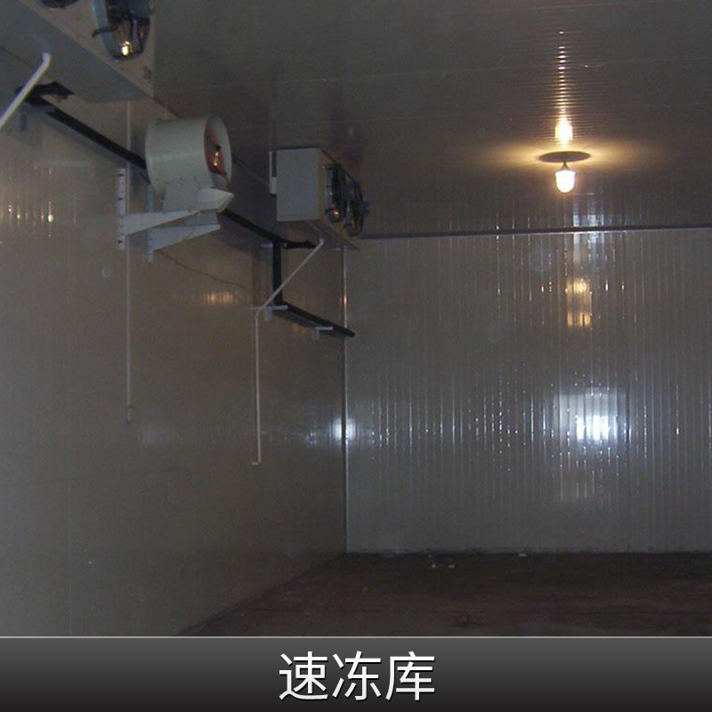 速凍庫廠家直銷批發(fā)價供應(yīng)商哪里多少錢