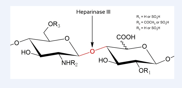 供應(yīng)重組肝素酶III（heparinase III）