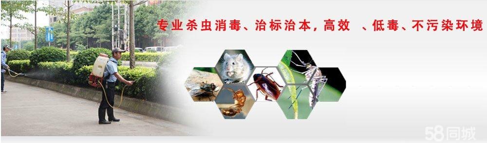 惠州校園白蟻治防服務(wù)  惠州白蟻治防服務(wù)公司 校園白蟻治防價(jià)格