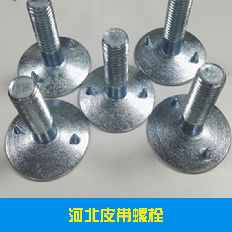 河北皮帶螺栓出售專(zhuān)業(yè)制造商 永年高強(qiáng)度皮帶螺栓制造廠家報(bào)價(jià) 量大優(yōu)惠
