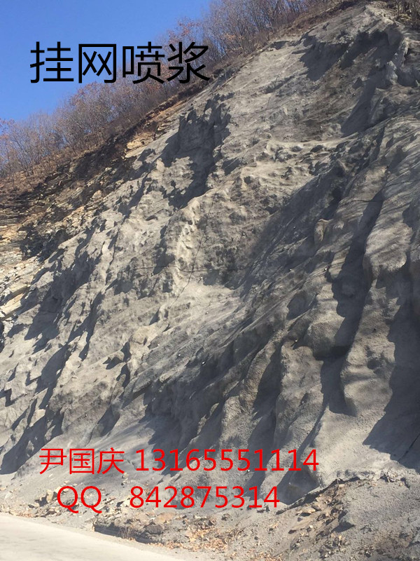 三維網(wǎng)植草 礦山復(fù)綠 掛網(wǎng)噴漿 山體綠化等護(hù)坡工程