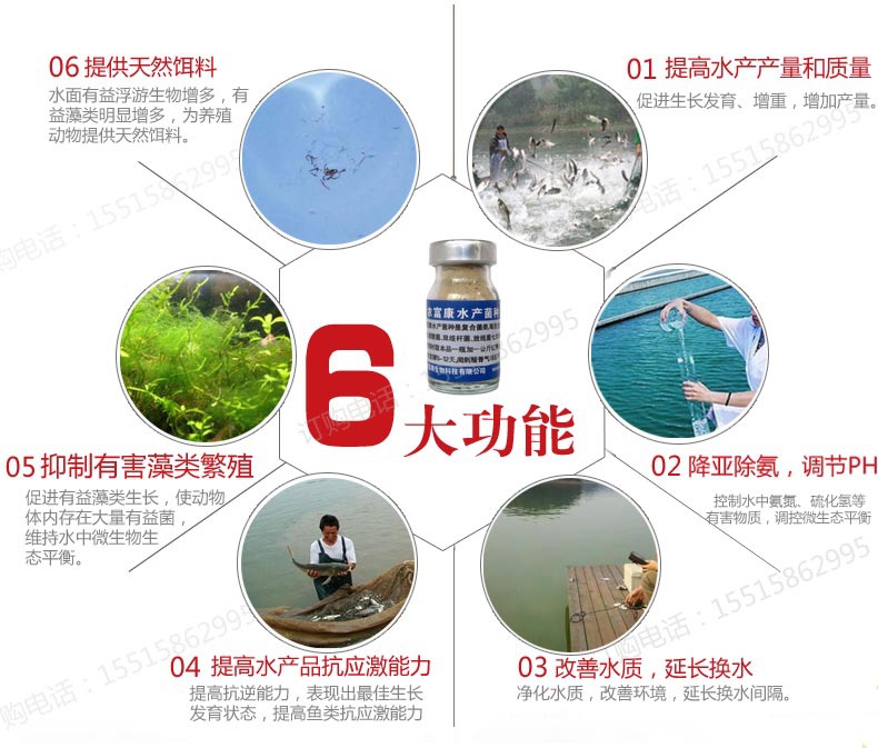 湖南水產(chǎn)em菌有益菌生物菌發(fā)酵糞 農(nóng)富康養(yǎng)蟹*水產(chǎn)em菌種