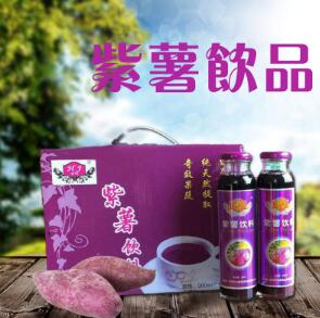 供應(yīng) 山東紫薯 酒飲品女性 金麟紫薯飲料