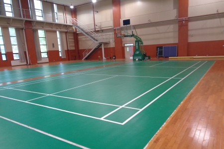 運(yùn)動pvc地板  球場塑膠地板