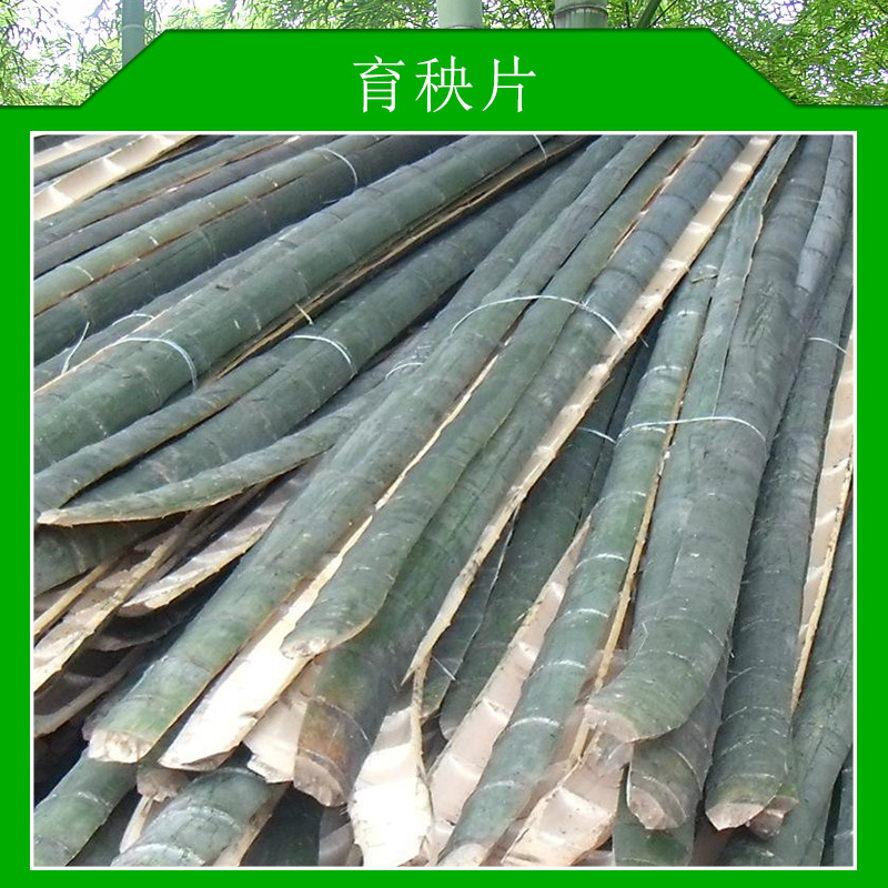 育秧片抗拉抗壓抗彎強(qiáng)度好供應(yīng)大量育秧片價(jià)格實(shí)惠育秧片廠家批發(fā)