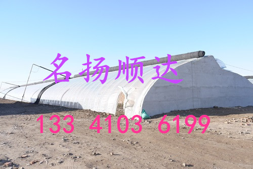北京溫室大棚 北京溫室大棚、大棚溫室、春秋大棚