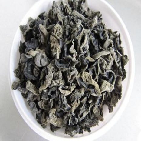 七景山木耳種植基地二級黑木耳供應商批發(fā)價格每件500克裝