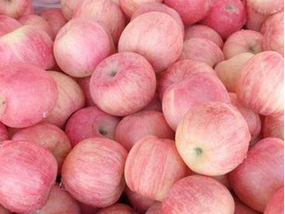 靈寶市紅富士蘋果銷售   黃香蕉蘋果