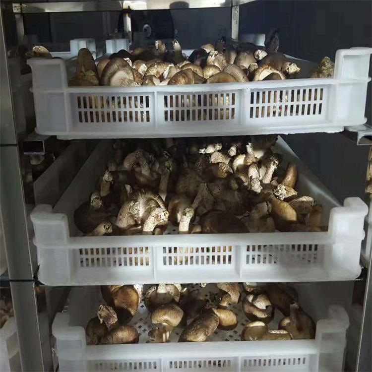 河北遼寧香菇烘干機(jī) 香菇烘干技術(shù) 冬菇烘干機(jī) 香菇熱泵烘干機(jī)
