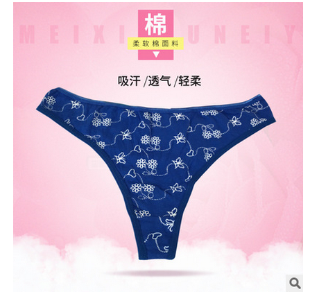 新品上市 棉質(zhì)女士丁字褲 碎花少女內(nèi)褲 透氣舒適女士內(nèi)褲 批發(fā)